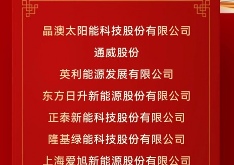 鈦能獎(jiǎng)·2025年度：中國(guó)<em>光伏組件</em>十大品牌