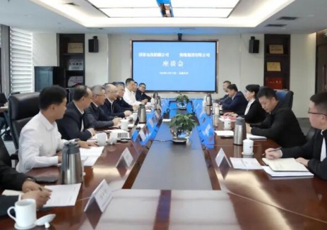 国家电投新疆公司与南瑞集团座谈