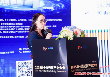 时璟丽:解构新目标下新能源发展战略及关键机制