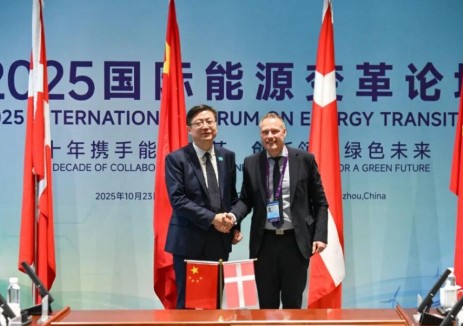 國家能源局負責人會見丹麥能源署代理署長