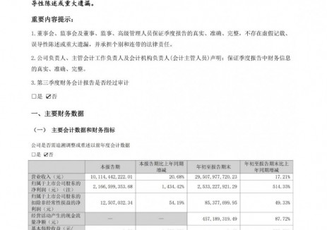 国轩高科2025年三季度净利同比增超14倍