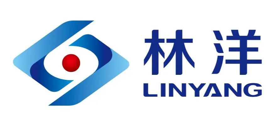 江苏林洋智维技术有限公司