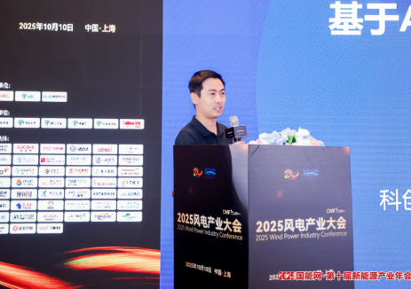 柴問奇：<em>AI</em>賦能風電葉片智能監(jiān)測與保護新紀元