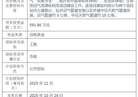 皖能环保电厂生物质沼气资源化利用项目招标