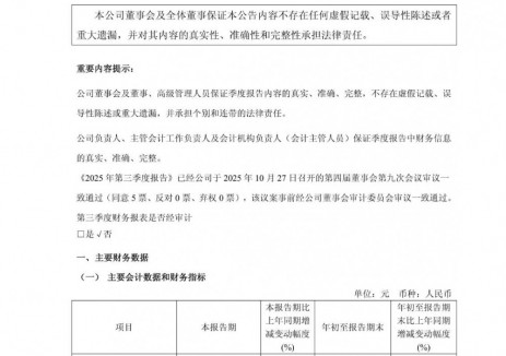 璞泰来2025年第三季度净利润同比增长69% 下游动力和储能电池市场良好增长