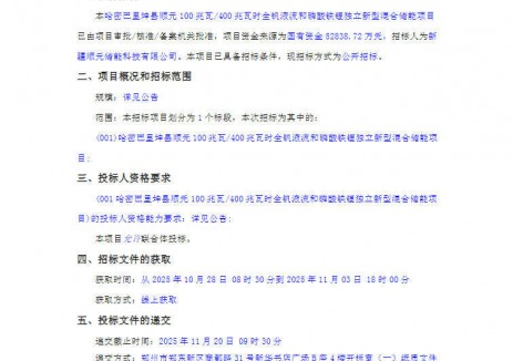 招标 | 新疆哈密巴里坤县顺元100MW/400MWh全钒液流和磷酸铁锂独立新型混合储能项目招标