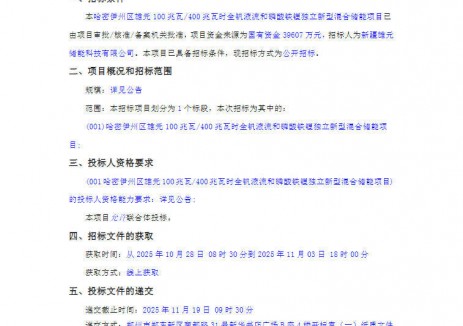 招标 | 新疆哈密伊州区雄元100MW/400MWh全钒液流和磷酸铁锂独立新型混合储能项目招标