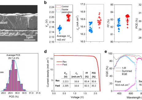 世界顶级期刊《Nature》发表仁烁光能团队世界纪录效率的全钙钛矿叠层电池成果