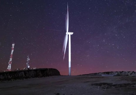 科普丨<em>叶片</em>能闪烁月光？是好事还是坏事？