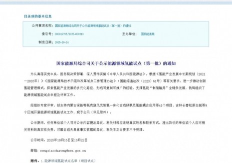 <em>中天</em>合創綠氫項目入選國家能源領域氫能（第一批）試點！