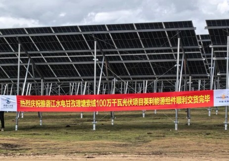 英利速度是如何炼成的？