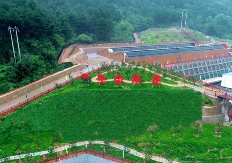 创新破局！陕西煤业探索生态修复新路径