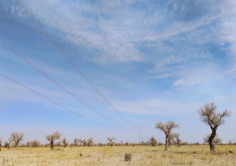 中國(guó)<em>電建</em>參與設(shè)計(jì)！新疆環(huán)塔里木盆地輸變電工程“圓”滿(mǎn)投運(yùn)