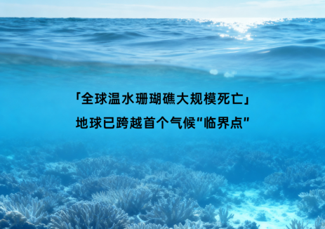 地球跨越首个气候“临界点”，光伏能做些什么？