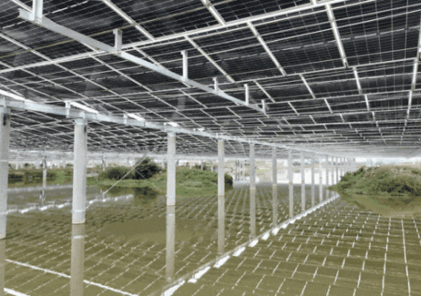 澧水畔的“渔光鸭”：HYPSET赋能大唐华银安乡县陈家嘴镇220MW渔光互补项目全速建设中