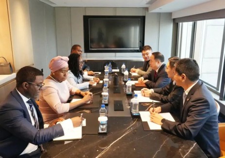 刘怀亮拜会安哥拉财政部长薇拉·戴维斯