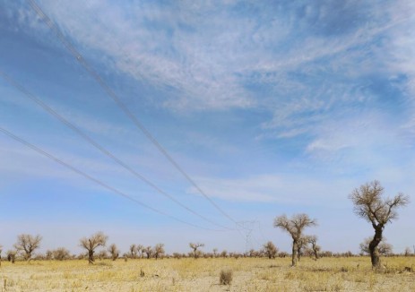 <em>我國</em>最大750千伏超高壓環(huán)網(wǎng)工程正式投運(yùn)