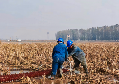 330千伏信潼线检修任务圆满收官
