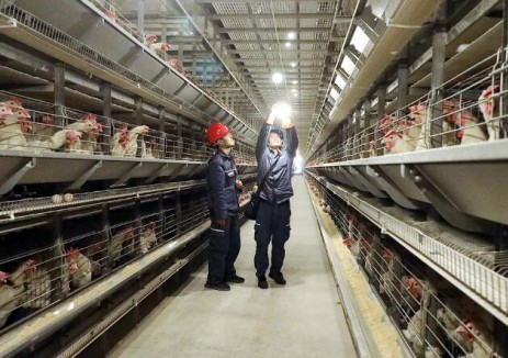 电力助推黔货出山——南方电网晴隆供电局精准服务农业企业用电需求