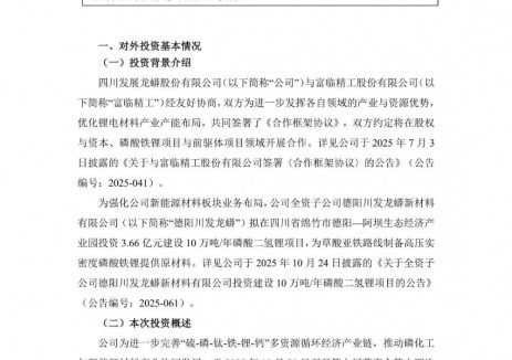 川发龙蟒拟合作投资19.61亿元磷酸铁锂项目