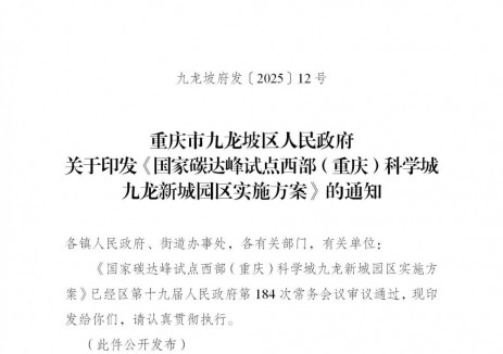 重庆市九龙坡区：鼓励分布式光伏配套建设储能设施！