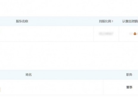 华电新能成立清洁能源公司，含集中式快速充电站业务