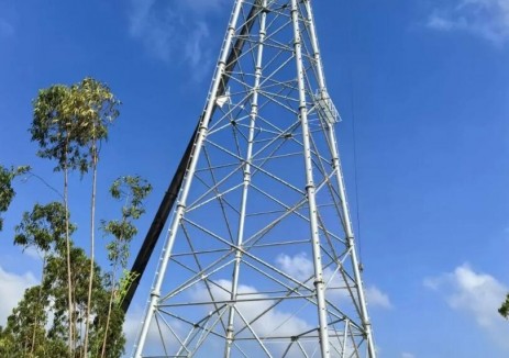 廣東500千伏陸豐核電一期接入系統(tǒng)工程（標(biāo)段三）<em>正式</em>轉(zhuǎn)入鐵塔組立階段