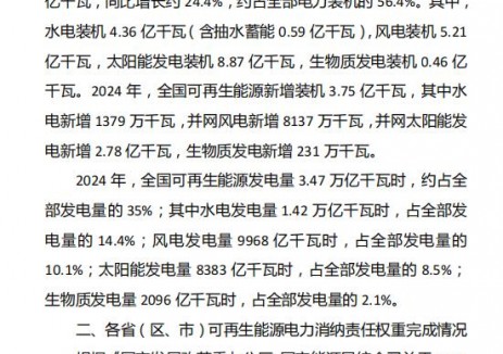 国家能源局关于印发2024年度全国可再生能源电力发展监测评价结果的通知
