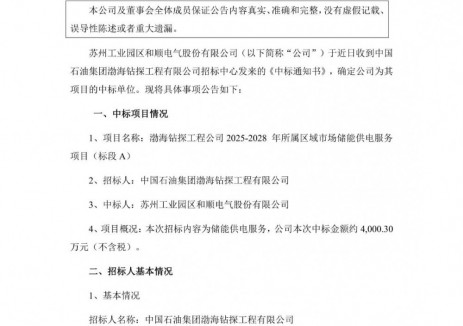 中标 | 和顺电气中标约4000万元储能供电服务项目