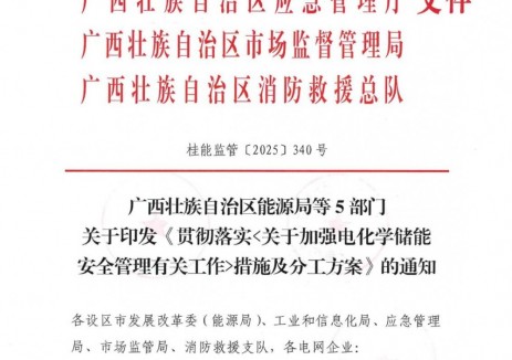 广西柳州进一步贯彻落实电化学储能安全管理工作