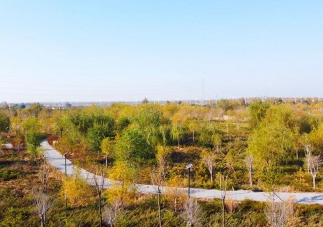 陜西省煤層氣生態(tài)產(chǎn)業(yè)公司：礦山生態(tài)修復項目在秋日里“結碩果”