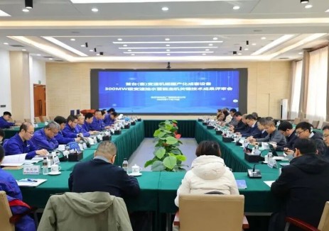 重磅突破！300兆瓦级变速抽水蓄能主机关键技术达工程应用条件