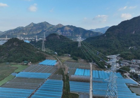 浙江院总承包的温州苍南S219省道关键配套电力迁改工程投运