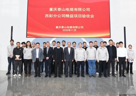 泰山电缆精益项目顺利通过验收