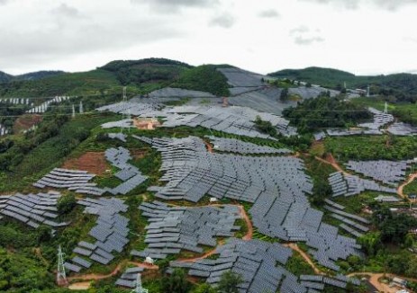 云南省首个“茶光互补”山地光伏项目并网发电