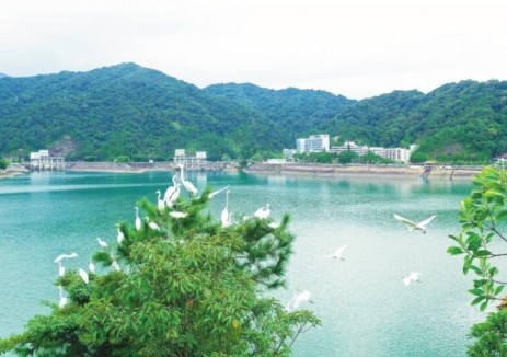 《南方电网公司生态强企报告》发布，展现能源绿色转型南网行动