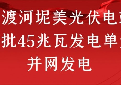 大渡河坭美光伏电站首批45兆瓦发电单元并网发电