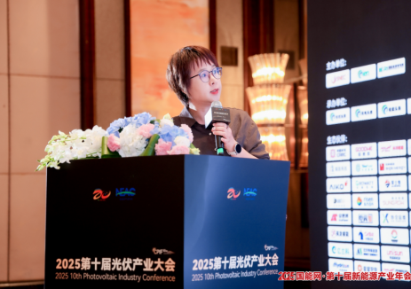 深耕海外15年！晨科太阳能林媛玲解析光伏支架出海破局之道