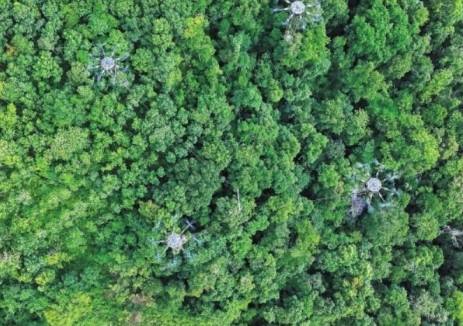 中老联网工程：雨林上空架起“绿色电力动脉”