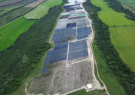 哥伦比亚在建最大光伏项目实现首批并网发电