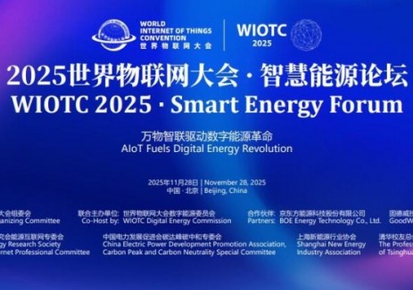 共绘能源数字经济新蓝图！世界物联网大会·智慧能源论坛成功召开