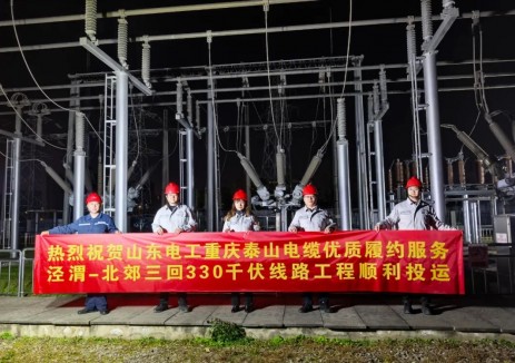 泾渭-北郊330千伏Ⅲ回线路工程顺利投运,西安北部电网再添“主动脉”