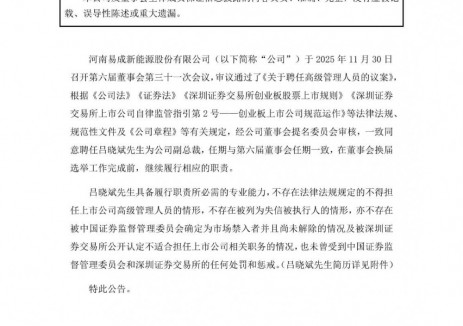 储能上市公司副总裁变动！