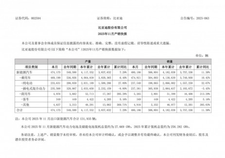 比亚迪2025年1-11月新能源汽车动力电池及储能电池装机总量约为258.282GWh