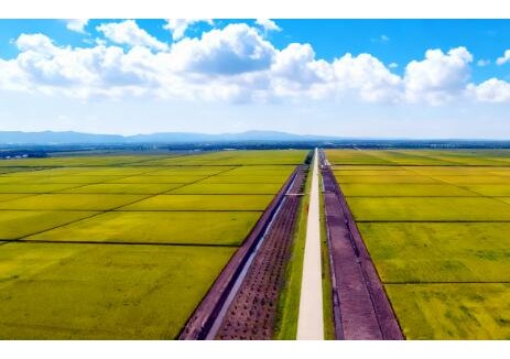 中国能建路桥公司承建的天津市静海区10870亩高标准农田改造提升项目通过竣工验收