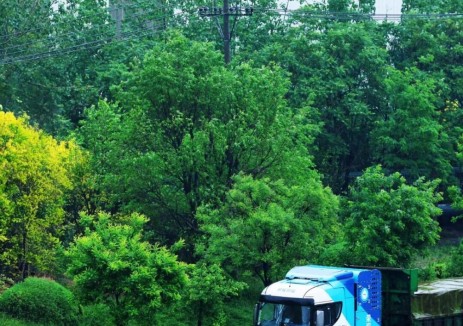 决胜“十四五” 谋篇“十五五” | 从“0”到“1000+” 荣程集团氢能产业创新实践之路