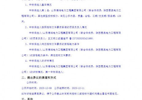 中标 | 智储山亭5MW/10MWh分布式云储能电站项目EPC评标结果公示