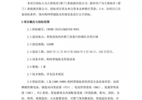 招标 | 大唐青海构网型储能设备公开招标