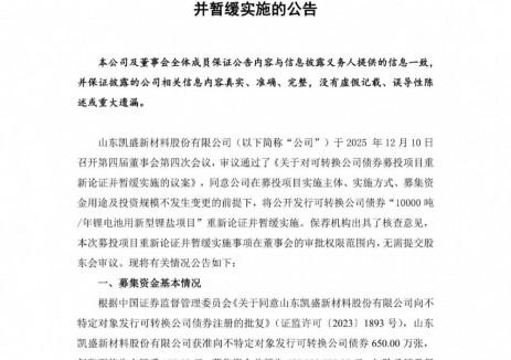 凯盛新材暂缓实施募投“10000吨/年锂电池用新型锂盐项目”