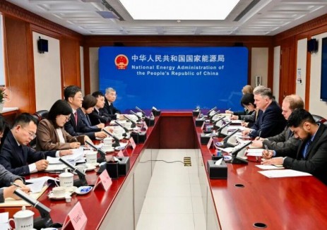 国家能源局负责人会见丹麦驻华大使